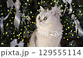 Curious cat in front of festive holiday lights observes surroundings attentively 129555114