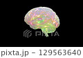 Brain digital color. Neuron connections. Futuristic medical technology concept. Animation Seamless loop and Alpha Channel. 3D Render. 129563640