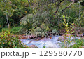Beautiful River In The Forest 129580770