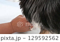 Owner and his dog, a long-coated Chihuahua, playing with a handmade toy 129592562