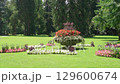 flower, grass, park 129600674