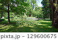 flower, grass, court 129600675