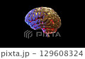Brain gold color. Small round, red spheres running in brain. Medical technology concept. Animation Seamless loop. 3D Render. 129608324