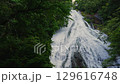 夏季的奧日光湯滝瀑布 129616748