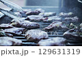 Cooking and frying pork meat in smoke on a grill grate in a restaurant oven, slow motion 129631319