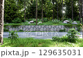 3D animation render of a quiet road bordered by a stone wall and dense forest with tall trees 129635031