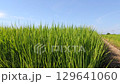 夏季米耳 夏季米耳 129641060
