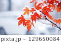 楓葉上的雪，冬季視頻 129650084