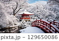 雪與寺廟，一段冬季日本寺廟的視頻 129650086