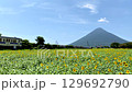 Sunflower field and Kaimondake volcano at Nishi-Oyama station: Nishi-Oyama station in Ibusuki city, Kagoshima prefecture is known as the southernmost station in JR Japan. 129692790