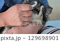 Caring for your beloved dog: Reluctant dogs, tear stains, facial cleaning, dental care 129698901
