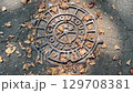 NY Manhole 129708381