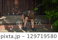 a little boy sits on the porch on a hot summer day in close up he touches his scraped knee with his finger wearing a t shirt and shorts 129719580