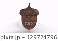 Acorn isolated on white background 3d rendering 129724796