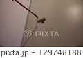 Men's hands paint walls with a roller, work painting on the surface, painting walls in an apartment, repair with white paint. High quality 4k footage 129748188