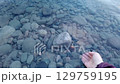 Hand tossing pebble in calm river creates expanding ripples on clear water 129759195