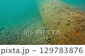Large diameter underwater pipeline on the seabed. 129783876