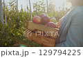 A woman holds a wooden crate filled with fresh red apples 129794225