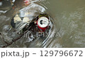 Cool Drink Can in a Water 129796672