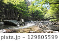 清流の巴川 129805599