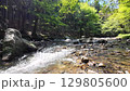 清流の巴川 129805600