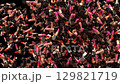 animated lipstick video transition from side than explode 129821719