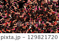 animated lipstick video transition diagonal wipe 129821720