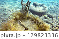 Pollution of the sea with old tires and garbage. 129823336