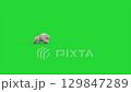 monstrous polar bear green screen runs side 3d rendering animation  129847289