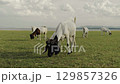 goat grazing grass on field near the river 129857326