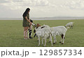 mother with toddler girl feeding a tree branch to the goat on grass field near the river 129857334