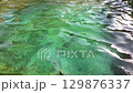 Chaotic oscillation of surface of clear water of container similar to a pool or fountain with a green tiled bottom. Ripples on the water, wave propagation close-up with a first-person close-up view 129876337