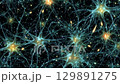 Neural network illustration video animation 129891275