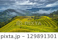 Timelapse of cloud over terraced rice fields, northern of Vietnam 129891301