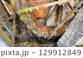 Rotating water mill. Old wooden water mill. Mill wheel rotating under stream of water at village 129912849