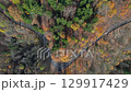 Aerial of cars driving through sunny autumn forest. 129917429