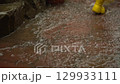 close-up of child's feet in yellow rubber boots running through puddles in the rain in slow motion with yellow raincoat background 129933111