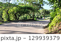 Shing Mun Road winding through nature in Hong Kong Aug 9 2025 129939379