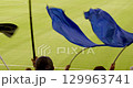 Fans waving flags at a football stadium. 129963741