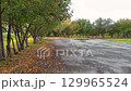 Autumn leaves falling on the ground in a park 129965524