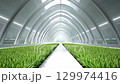 科技溫室農業未來發展前景 129974416