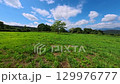 夏の草原に立つ1本の木 129976777