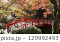 熱海梅園の紅葉 129992493