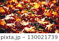 Snow falling on fallen leaves 130021739