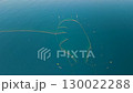 A beautifully shaped fixed net 130022288
