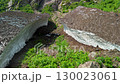 The "Eternal Snow of Sakuguchi" remaining on Mount Gongen in Itoigawa City was photographed at low altitude in summer. 130023061