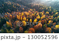 秋季闊葉樹和針葉樹混合的山林空拍照片 130052596