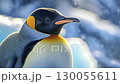Emperor penguin standing on icy rock with Antarctic landscape in background, copy space 130055611