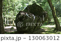 京都亀岡 出雲大神宮 森の中の磐座 130063012