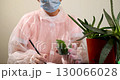 Researching the Medicinal Properties of Plants in a Laboratory Setting 130066028